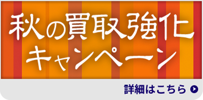 キャンペーン